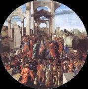 Sandro Botticelli Adoration of the Kings oil painting artist